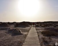 ��ʷ��Ǩ  �������ų���ַ