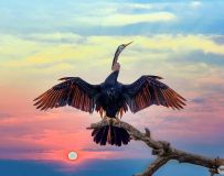 ڸ----ҫ---ףÿͼƬѡ