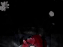޵ųǲɷ---