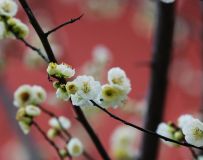 ӽ÷18
