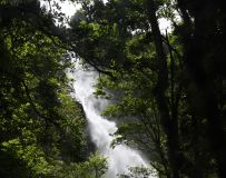 ϴٲ