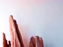 辰ġ