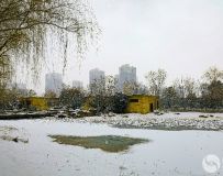 ѩ14