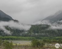 318ģ1