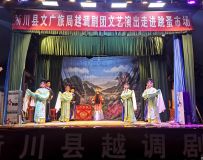 盛夏之夜淅川县越调剧团为群众送上文化大餐