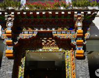 봨Ӱ29