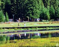 ����˹����Ȼ���