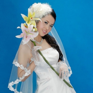 婚纱美少女_美少女战士婚纱图片(2)