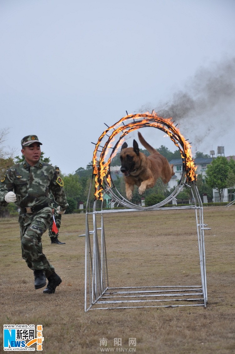 央视七套《超级战士》全面升级 镜头记录真实